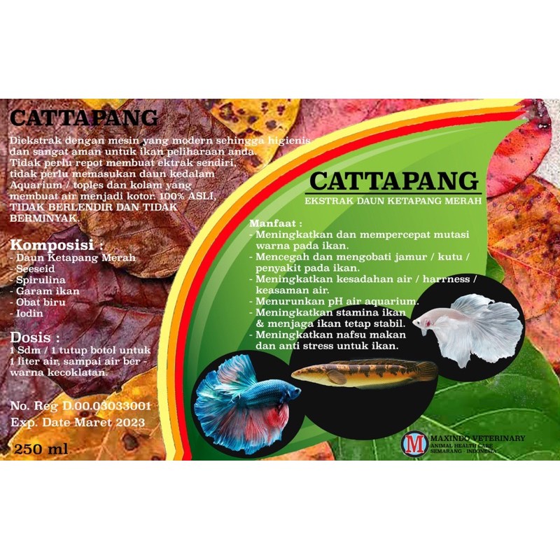 

EKSTRAK KETAPANG “ CATTAPANG “