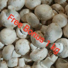 

Jamur Champignon | Jamur Kancing Uk 250 gr + Gratis Bonus