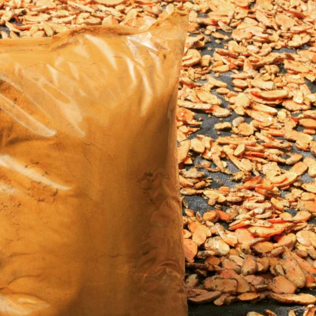 

Kunyit bubuk kualitas super bersih higenis kemasan 500 gr