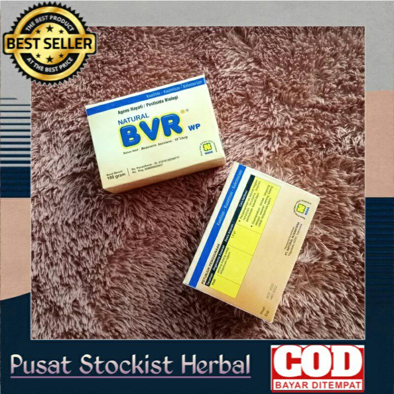 BVR PESTISIDA ORGANIK NASA 100 GRM