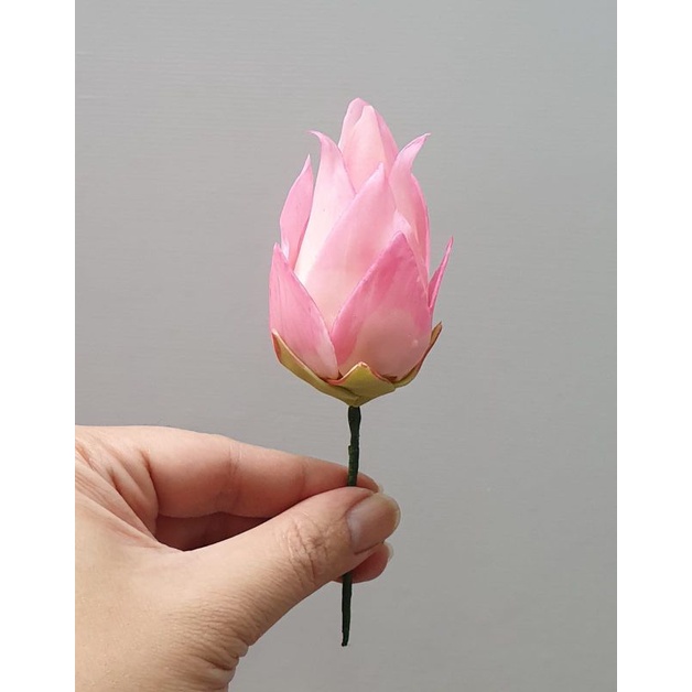 

gumpaste, gumpaste flower, bunga tart, edible / kuncup teratai air T6