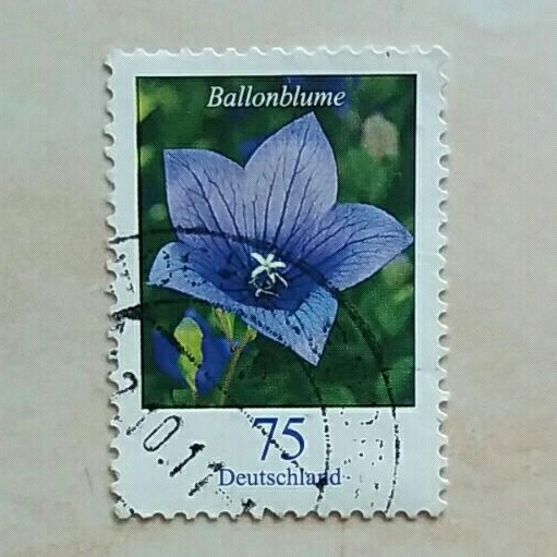 

(AD) Perangko Jerman 2011 Flowers definitives (2005-present) - Platycodon grandiflorus - Balloon flower 75 euro cent Used