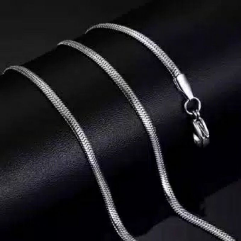 Fourfashion Kalung Titanium Belut Gepeng DF265