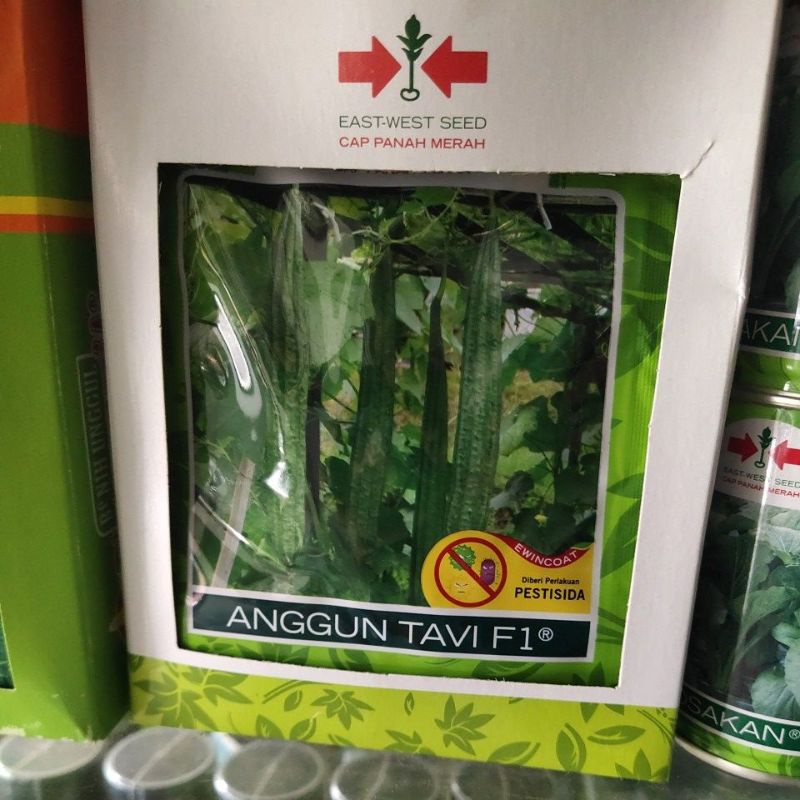 bibit oyong Anggun TaviF1 75 butir