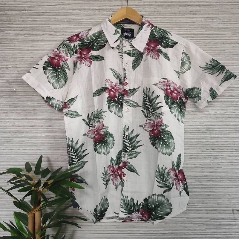 Kemeja SHARKS Original
