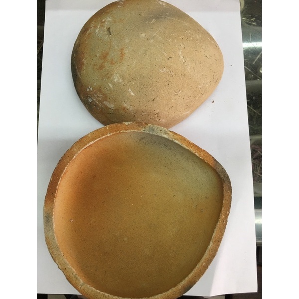 KOWI-Kowi Padang besar ukuran 13cm/leburan emas