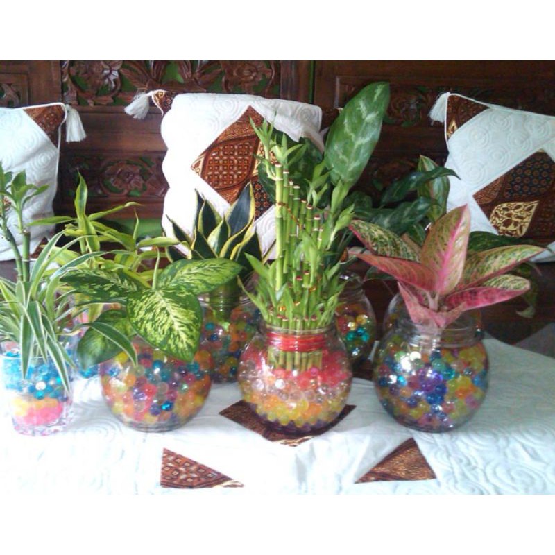 Hidrogel media tanam