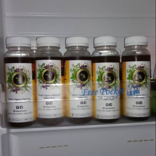 

Madu trigona