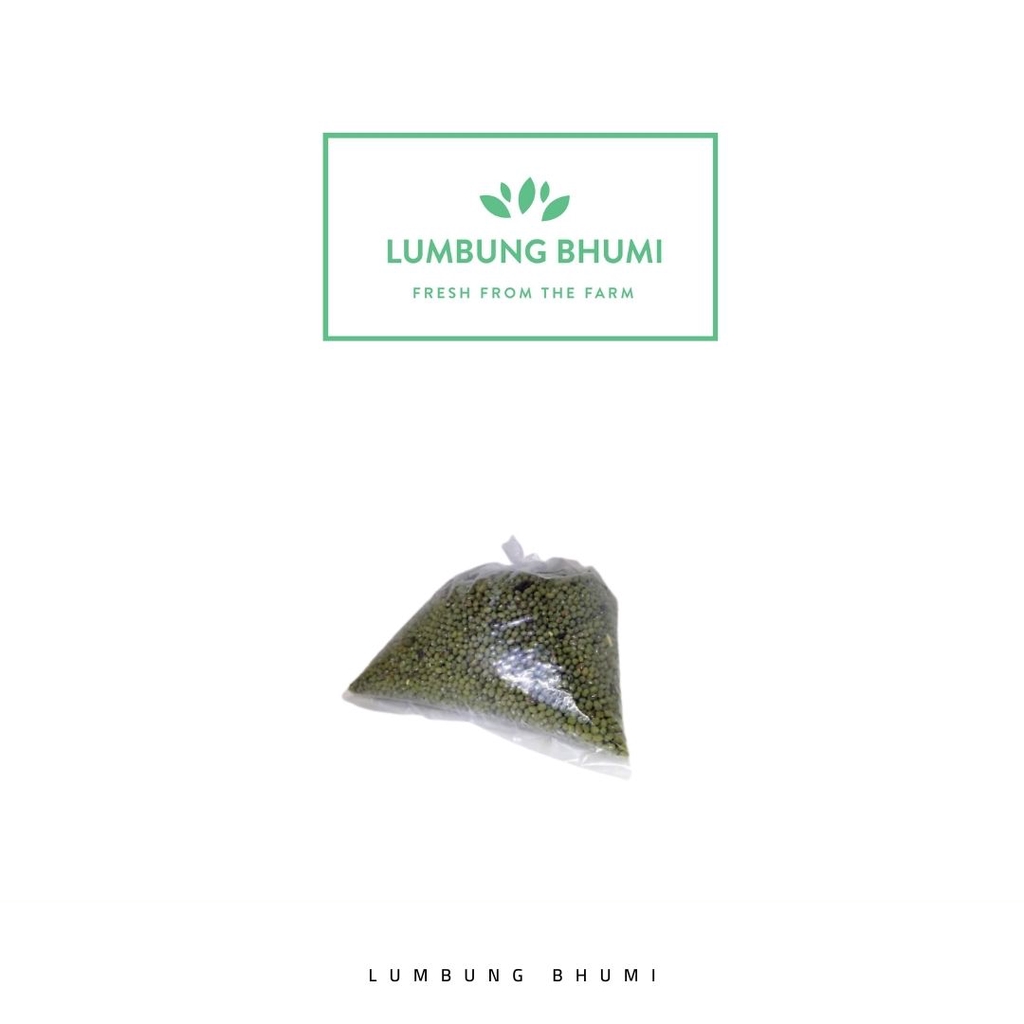 

Lumbung Bhumi - Kacang Hijau 500 Gr ( Sayur Curah )