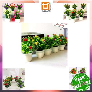 OFM C83 87 Ornamen Pot  Bonsai  Dekorasi Rumah Meja  