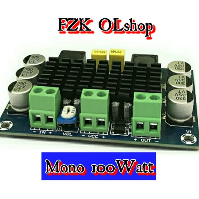 FZK~ Amplifier TPA3116 Mono 100Watt