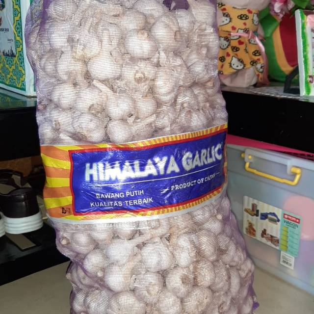 

Bawang Puting Kating