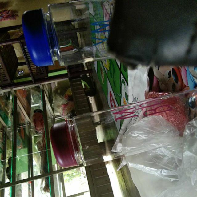 Promo [1kg 12pcs] My Bottle Transparan Bening Dengan Sarung Anti Pecah