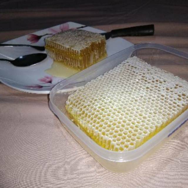 

Madu sarang raw honey comb apis mellifera madu murni grosir maduadu asli