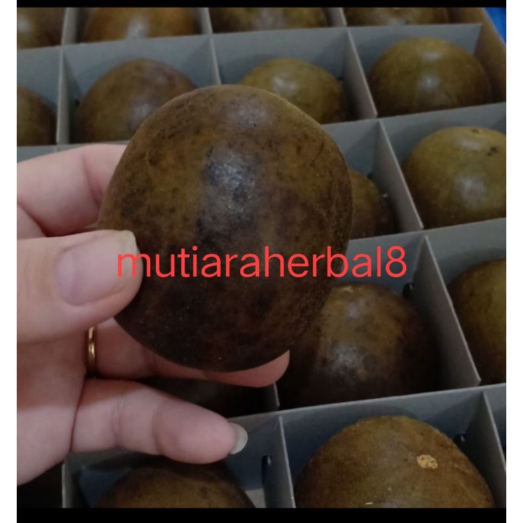 Buah Lou Han Kuo / Lo Han ko - Untuk Radang Tenggorokan
