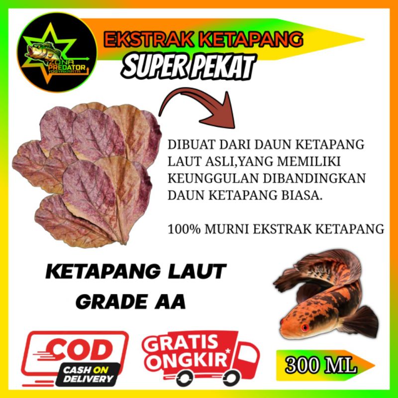 EKSTRAK KETAPANG SUPER PEKAT 300ML