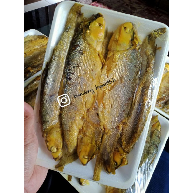 

BANDENG PRESTO BISMILLAH ISI 5 IKAN DURI LUNAK VACUM