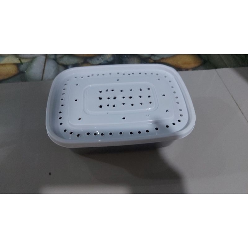 Cacing Tanah Hidup 1kg Jenis Lumbricus Rubellus / Tiger