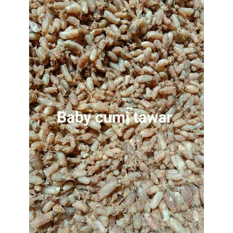 Baby cumi bertelur tawar 1/4kg