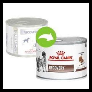 ROYAL CANIN RECOVERY