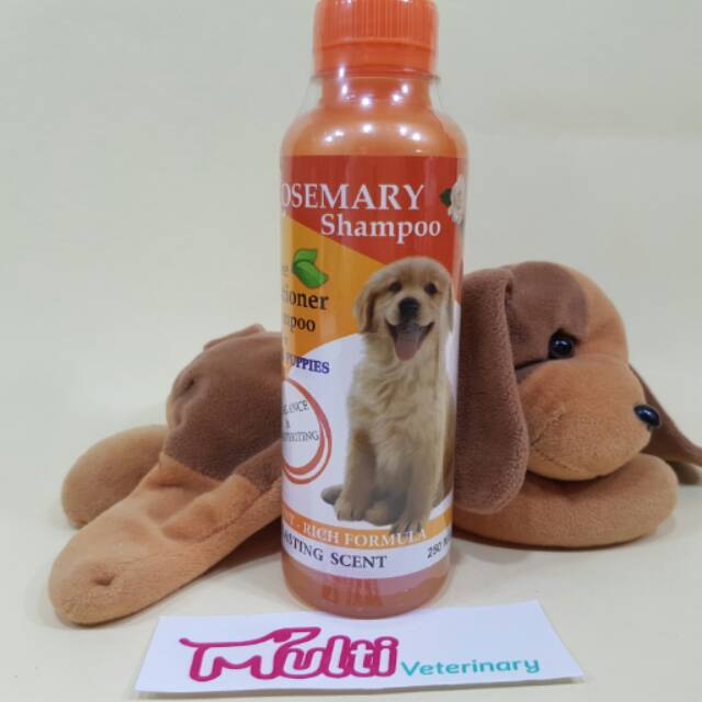 ROSEMARY  Shampoo with Conditioner Anjing Dog 250 ml tea tree