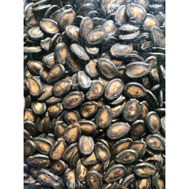 Imlek Kuaci Hitam Premium Kwaci Hitam 500gr High Quality edisi Imlek khas Selatpanjang