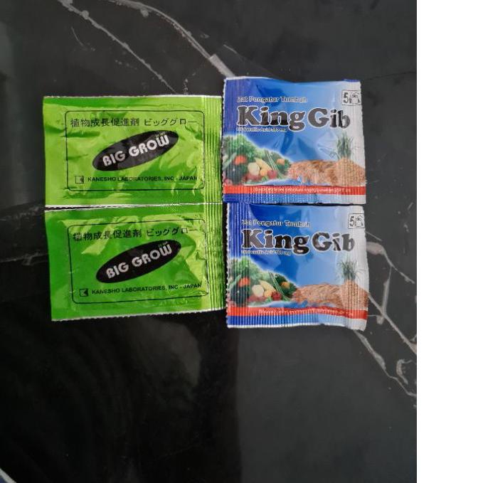 SHOPEE 8.8 Paket BIG GROW BIGGROW dan KINGGIB KING GIB PEMBESAR BUAH NAGA [KODE 770]
