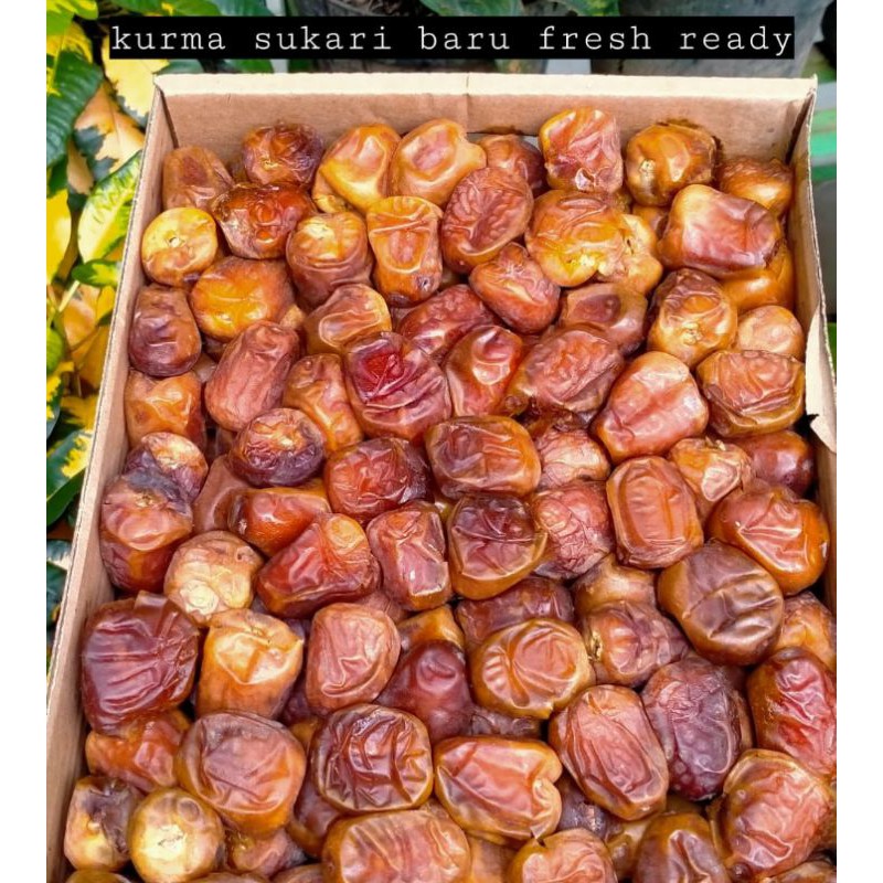 

kurma sukari 500gr