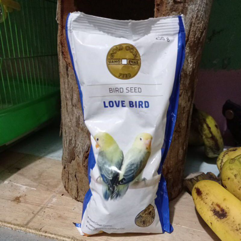 

gold coin love bird