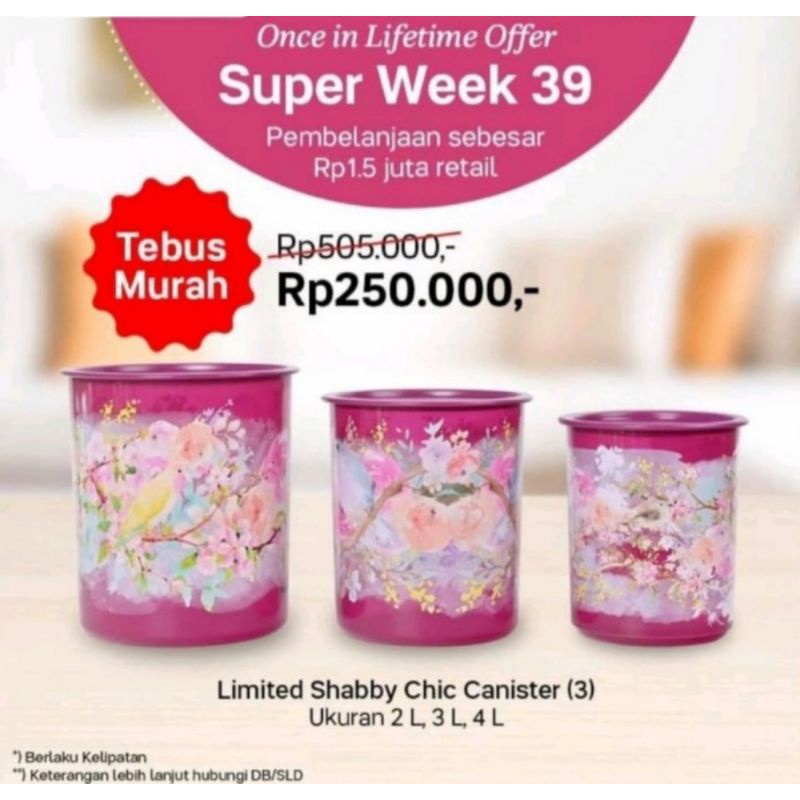 Tupperware Shabby Chic Canister (3)