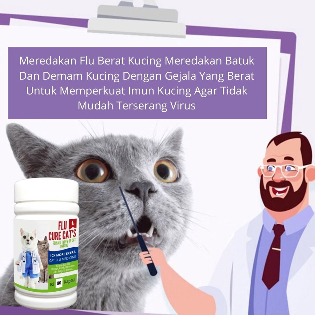 ANTI FLU DAN PILEK CAPS UNTUK KUCING FEZONE