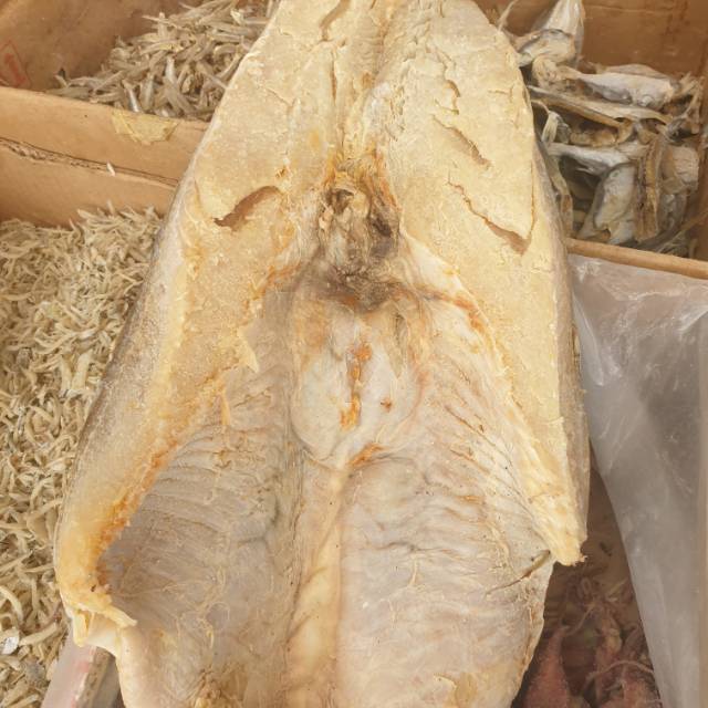 

COD !! JAMBAL ROTI ASIN 1kg