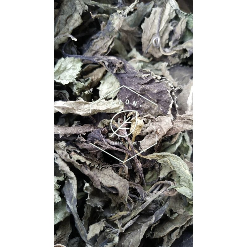 

Daun Jarong Pecut Kuda Kering 250gr