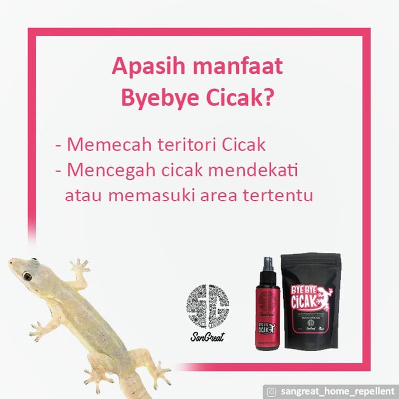 BBCICAK SPRAY - Spray Pengusir Cicak, Natural Lizzard Repellent