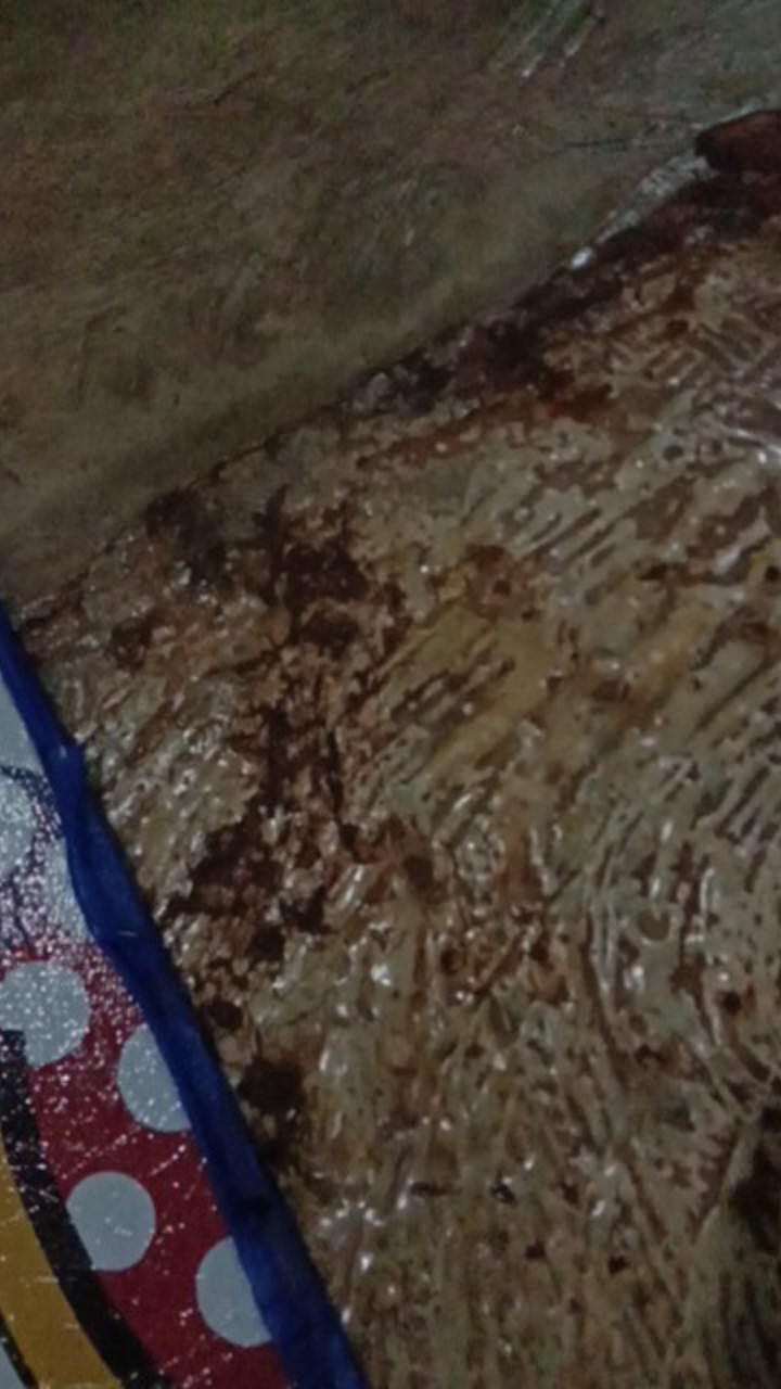 Modern M-2200l Mesin Jigsaw Laser Gergaji Triplek