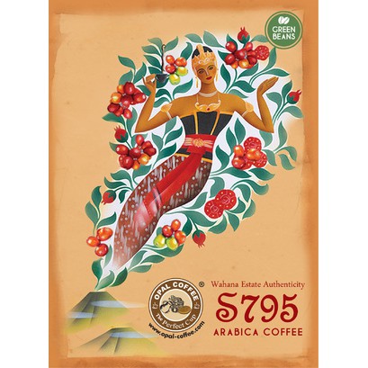 

KOPI S795 ARABICA