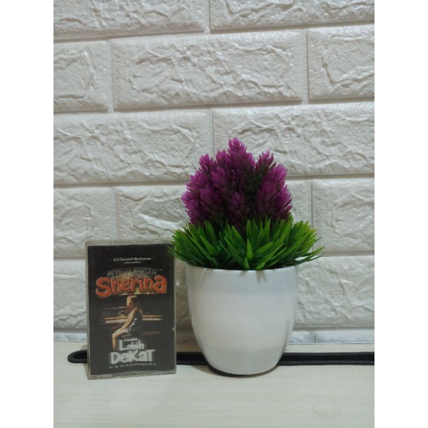 Kaset Sherina Lihatlah Lebih Dekat (Petualangan Sherina)