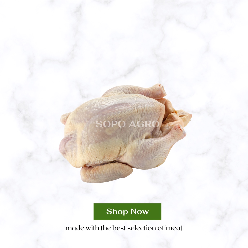 

Ayam Utuh Ukuran Tege Berat 500 Gr