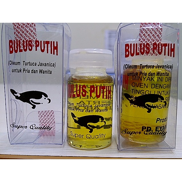 Minyak Bulus - Oil, untuk Wanita dan Pria