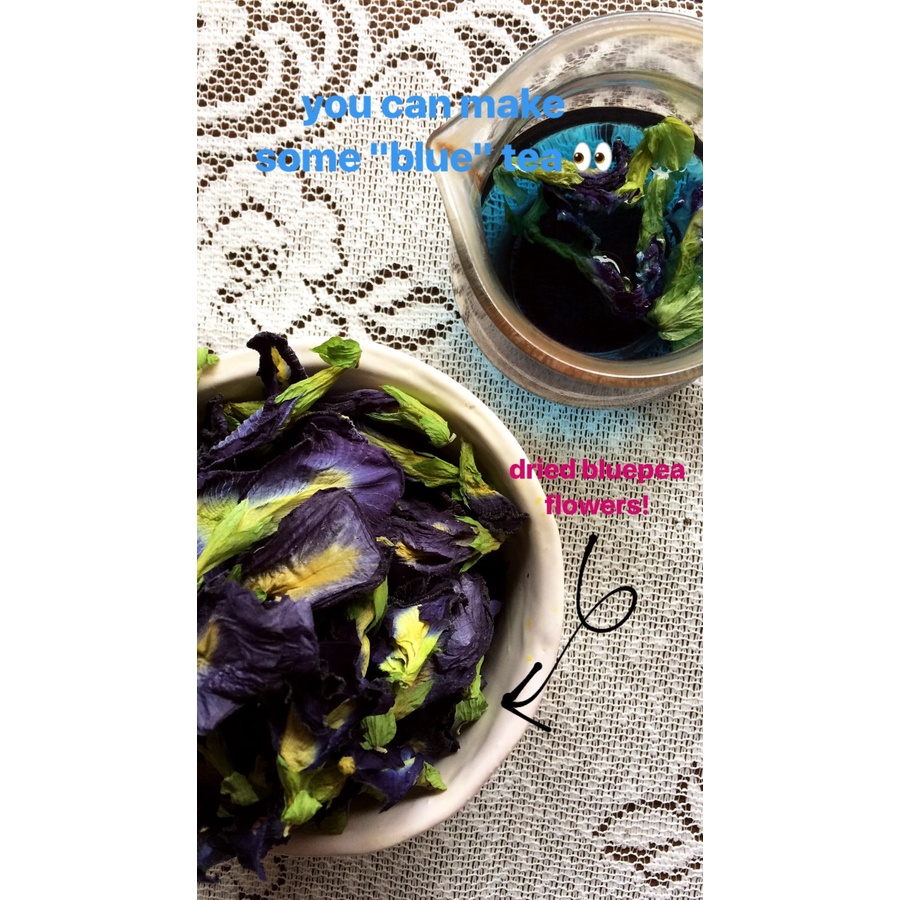 Jual Dried Bluepea Bunga Telang Kering Butterfly Pea Flower Bunga Telang Ungu Kering Untuk Teh