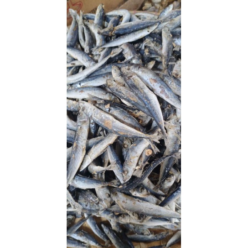 

Ikan asin layang rebus 500 gram