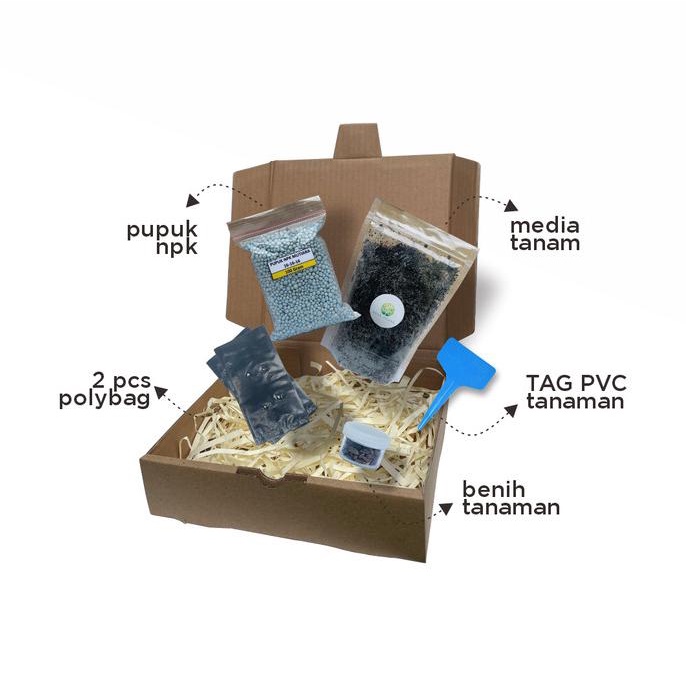 Paket Langsung Tanam - Gardening Kit - Benih Asparagus F1 UC800 Seeds (1 biji) ANPN62 Ayo Beli