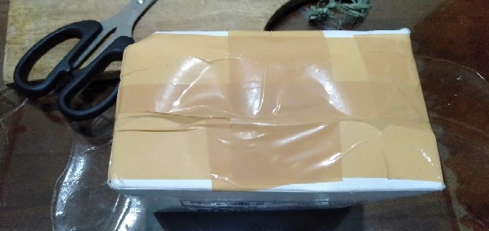 Dupa Kerucut Asli Gaharu Kalimantan Isi 50 Biji