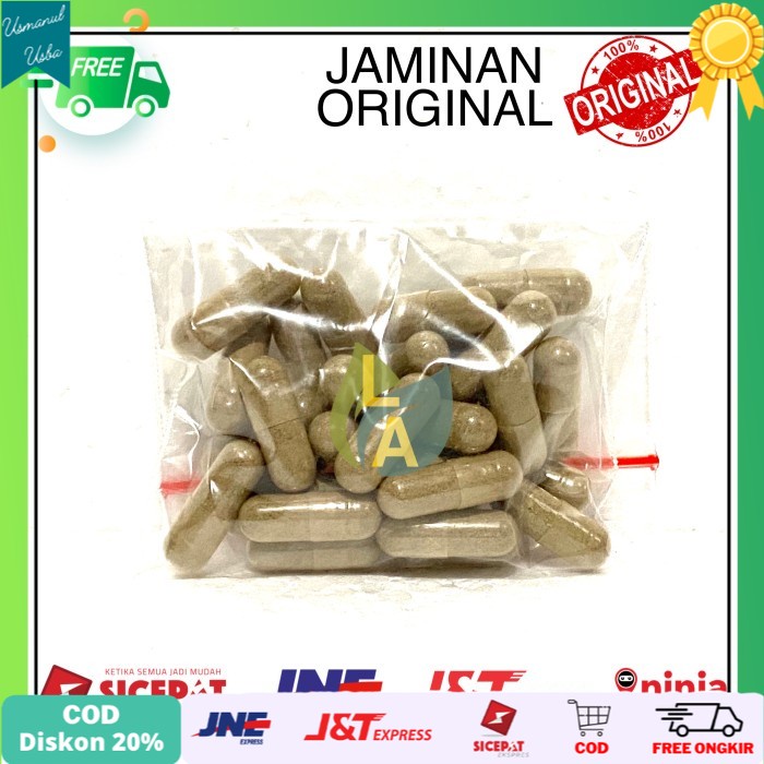 

◾COD◾ Kapsul Cacing Tanah ( ASLI / MURNI ) - Obat Tipes Dan Demam