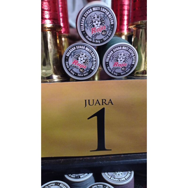 Gelasan Matot Ceko Super Beton 022 Turnamen juara 1