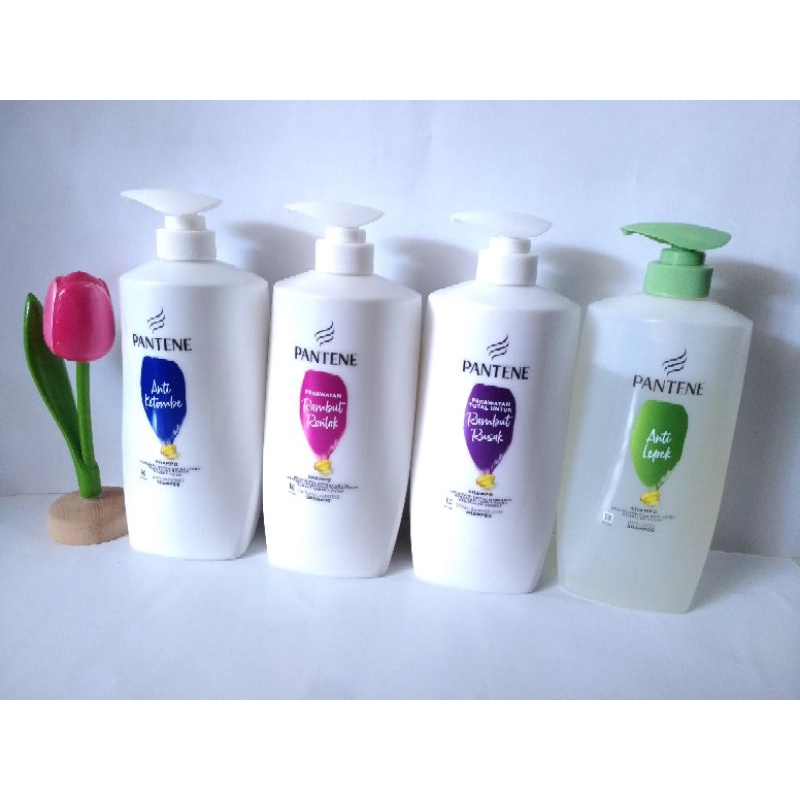 Shampo Pantene Anti Ketombe Anti Rambut Rusak Rambut Rusak Rambut Rontok 900 ml