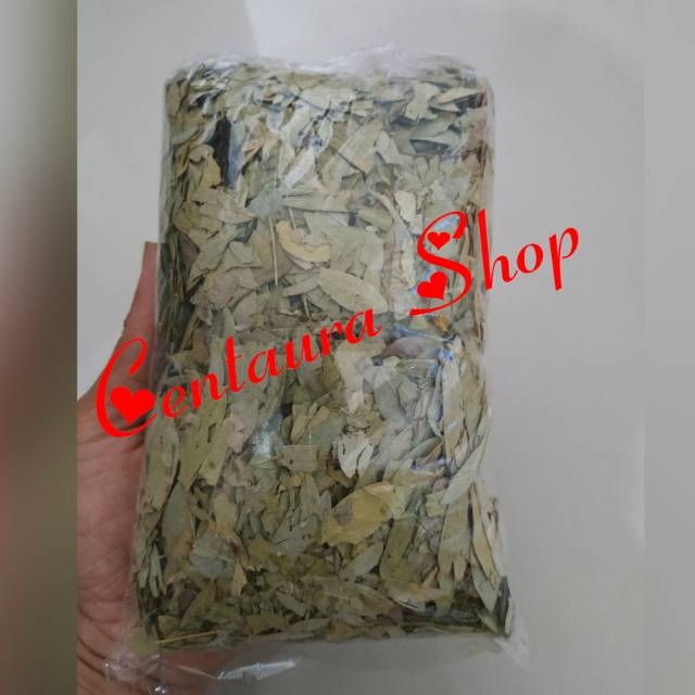 

Teh Jati Belanda Kering Asli Kwalitas Unggul 100gr