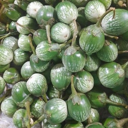 

terong bulat/lalap 250 gram