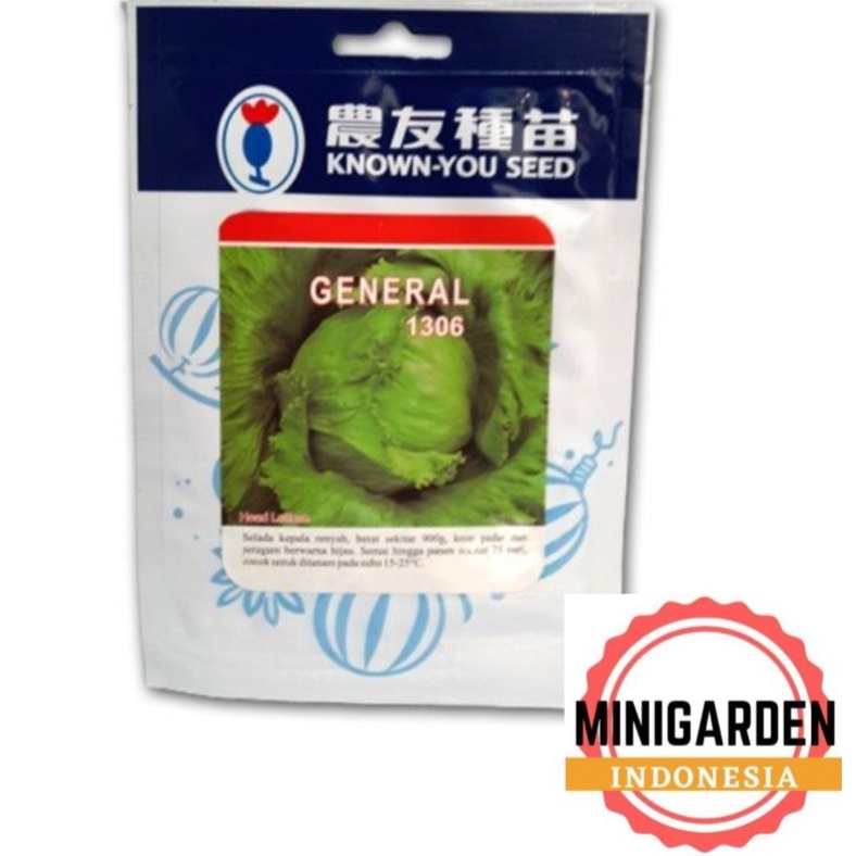 SELADA HEAD LETTUCE GENERAL 20 GRAM PACK BESAR benih biji selada butterhead selada hijau f1 hibrida known you seed