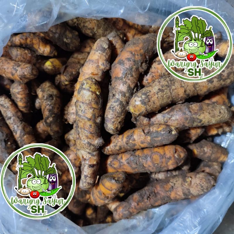 

KUNYIT 500 GRAM | KUNYIT SUPER | KUNYIT SEGAR | KUNYIT JAMU | KUNIR | KUNYIT BESAR | BUMBU DAPUR | FRESH VAGETABLE